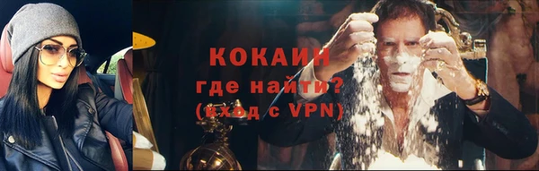 дживик Бронницы