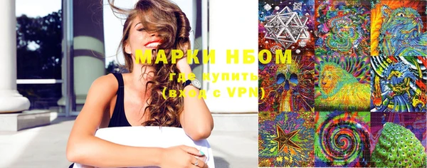 дживик Бронницы