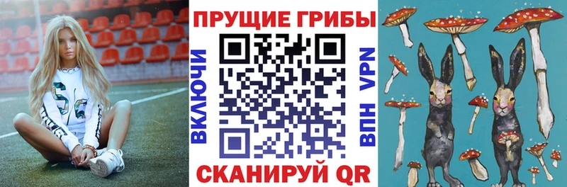Псилоцибиновые грибы мухоморы KRAKEN ТОР Клин где продают